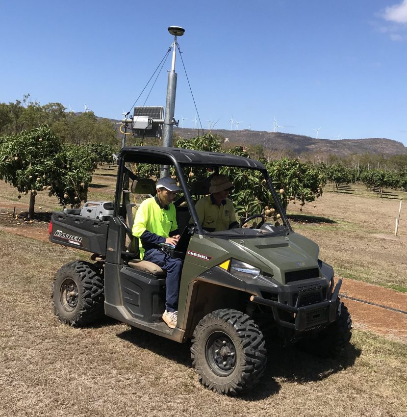 Helping mango farmers improve their harvest