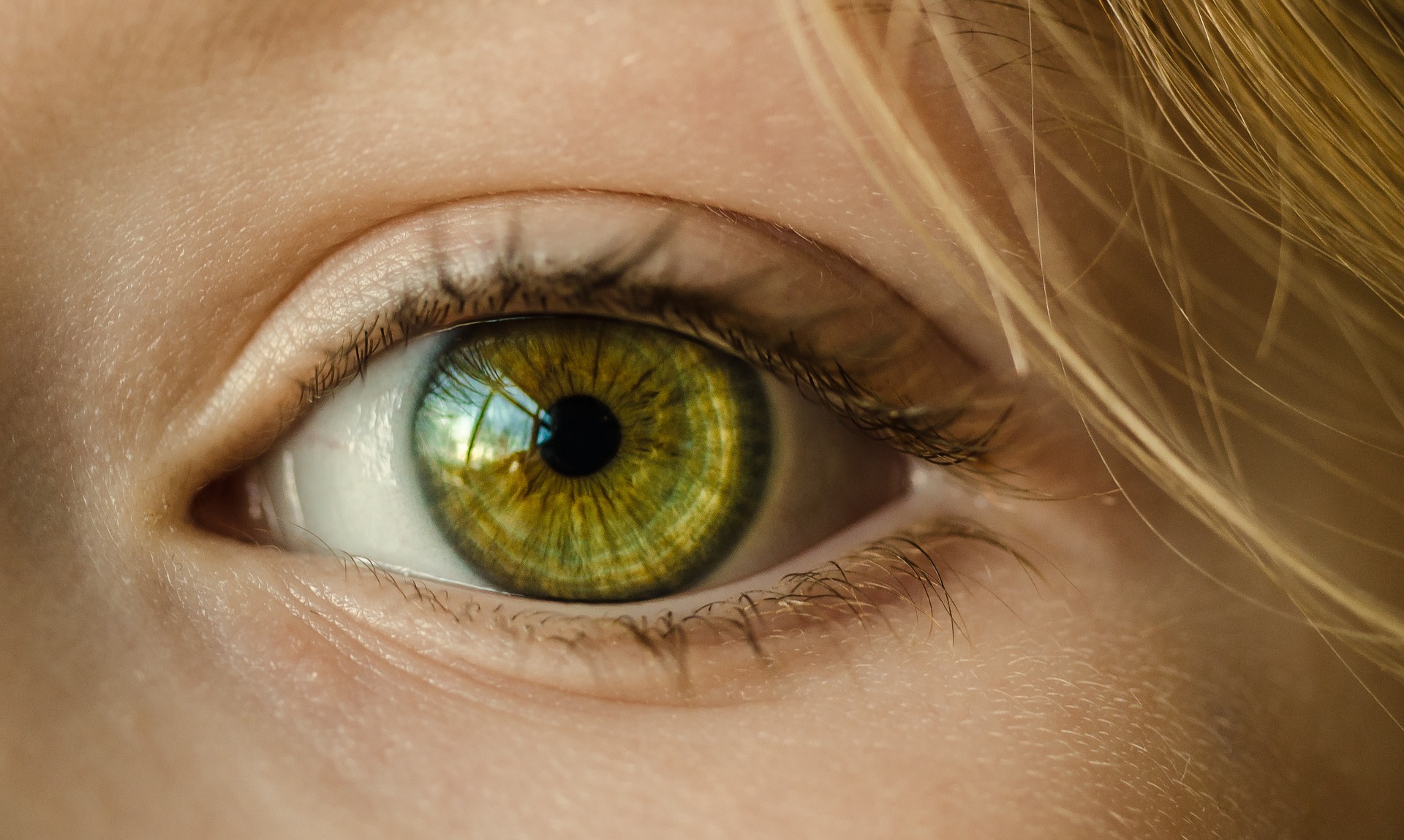 Opthea is in clinical trials for a new therapeutic to treat eye diseases.  