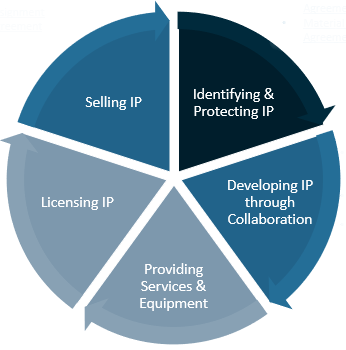 Commercialisation Pathway